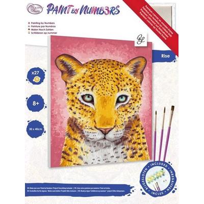 Craft Buddy PBN3040D - Paint by Numbers, Rise, Tiger, 30x40 cm
