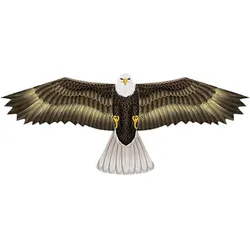 WindNSun Wind N Sun Eagle