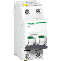 Schneider Electric, Schutzschalter, Acti9 iC60H MCB 2 Pole 2A Curve C