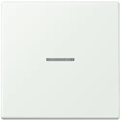 Jung Wippe mit Lichtleiter LC 101 KO5 210