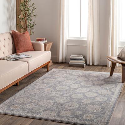 Livabliss Artistic Weavers Pashe Vintage Distressed Area Rug