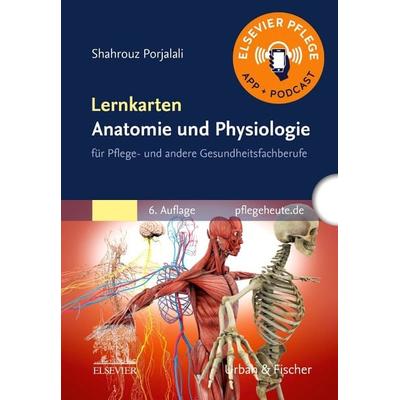 Lernkarten Anatomie und Physiologie, Sonstige von Shahrouz Porjalali, Urban & Fischer in Elsevier, 978-3-437-26022-3