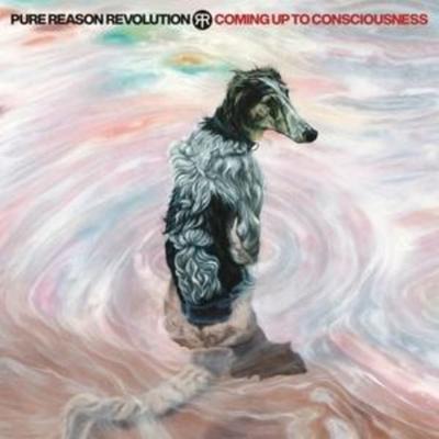Coming Up To Consciousness - Pure Reason Revolution, CD