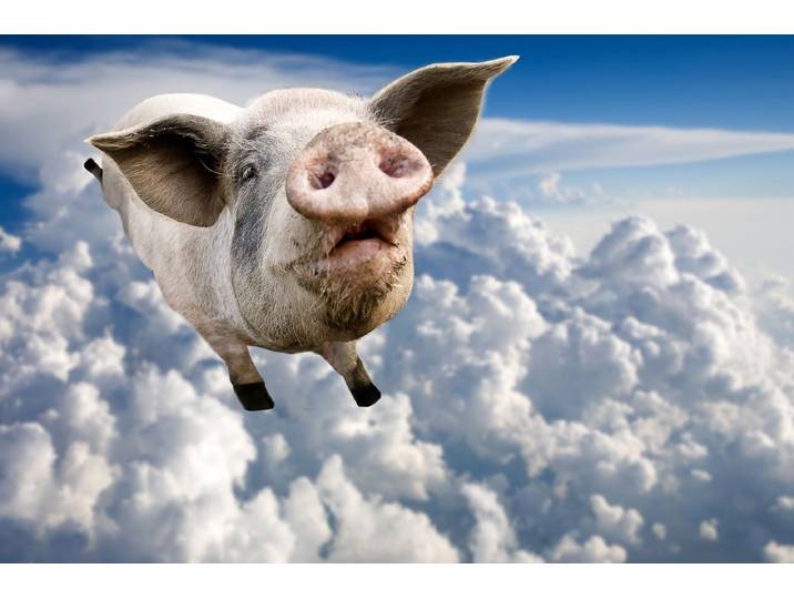 Fototapete PAPERMOON Fliegende Schweine , bunt, B:5m L:2,8m, Vlies, Tapeten, Fototapete