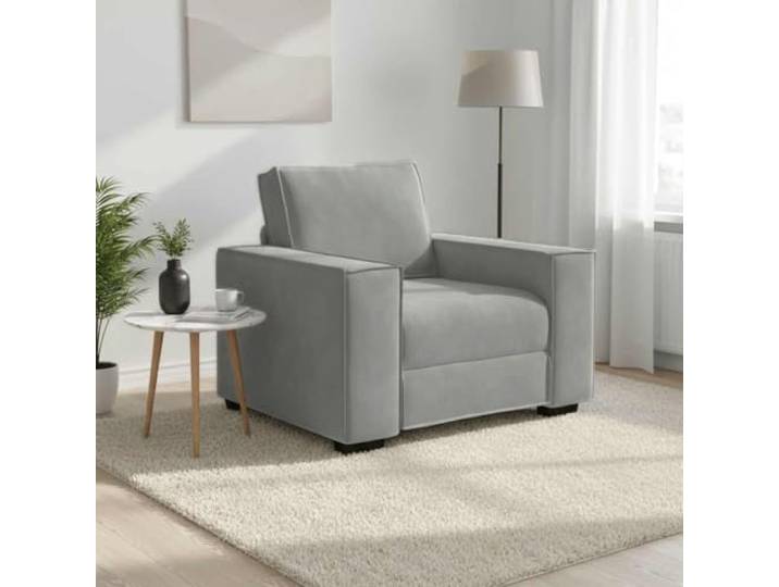 HEFZGDB Sessel Hellgrau 60 cm Samt Sofa Bequem Polsterung Wohnzimmer Sessel mit Breiten Armlehnen Robustes Holz Metall Gestell Vielseitig für Büro und Gästezimmer
