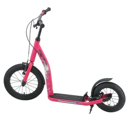 Star Scooter, Scooter