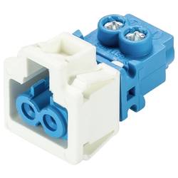 Wieland Electric 91.921.9353.0 Geräteanschluss