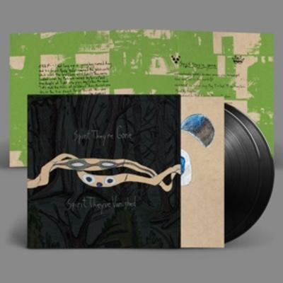 Spirit Theyre Gone,Spirit Theyve Vanished - Animal Collective, Vinyl