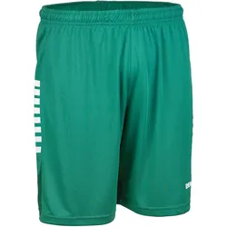 DERBYSTAR Madrid Trainingsshorts grün/weiß M