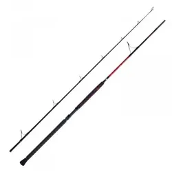 Warlock RCX Allround, 285cm / 100-300g