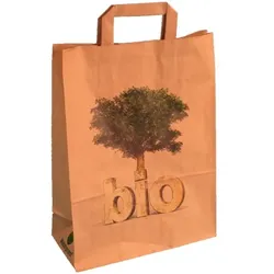 Pack4Food24 250 Papiertragetaschen Papiertüten 26+12x35cm braun "Bio" nassfest 80g/m2