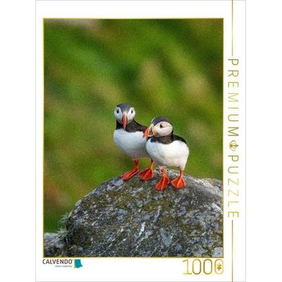 CALVENDO Puzzle Ein Motiv aus dem Kalender Naturerlebnis Puffin | 1000 Teile Lege-Größe 64x48cm Foto-Puzzle für glückliche Stunden
