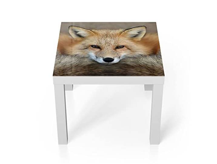 DEQORI Glastisch weiß klein 55x55 cm Motiv Reineke, der Fuchs ausgefallener Beistelltisch aus Glas Hochglanz Couchtisch fürs Wohnzimmer moderner Couch Tisch mit Design