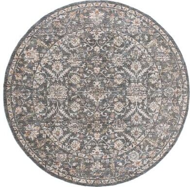 SAFAVIEH Olympus Digna Traditional Rug