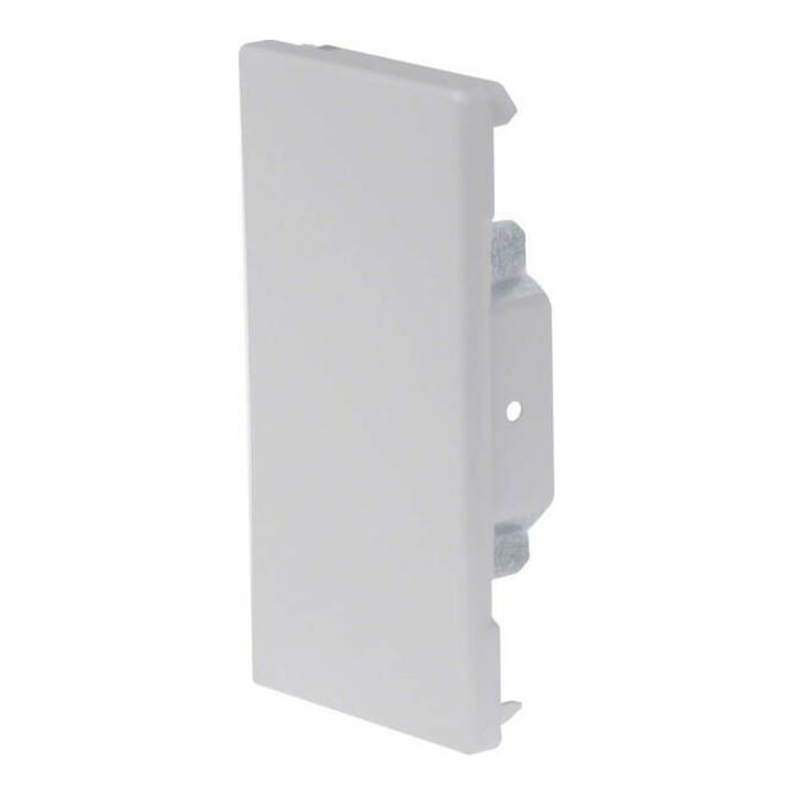 Tehalit Endplatte BRS 651306 lgr ; hager (5206879)