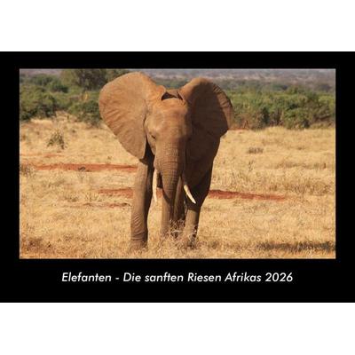 Elefanten - Die sanften Riesen Afrikas 2026 Fotokalender DIN A3