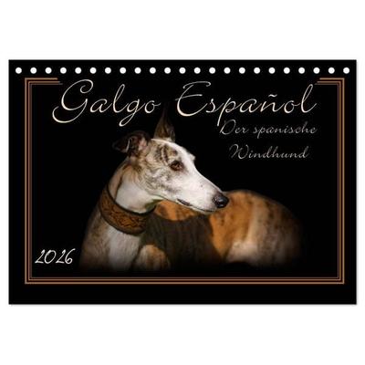 Galgo Español 2026- Der spanische Windhund (Tischkalender 2026 DIN A5 quer), CALVENDO Monatskalender