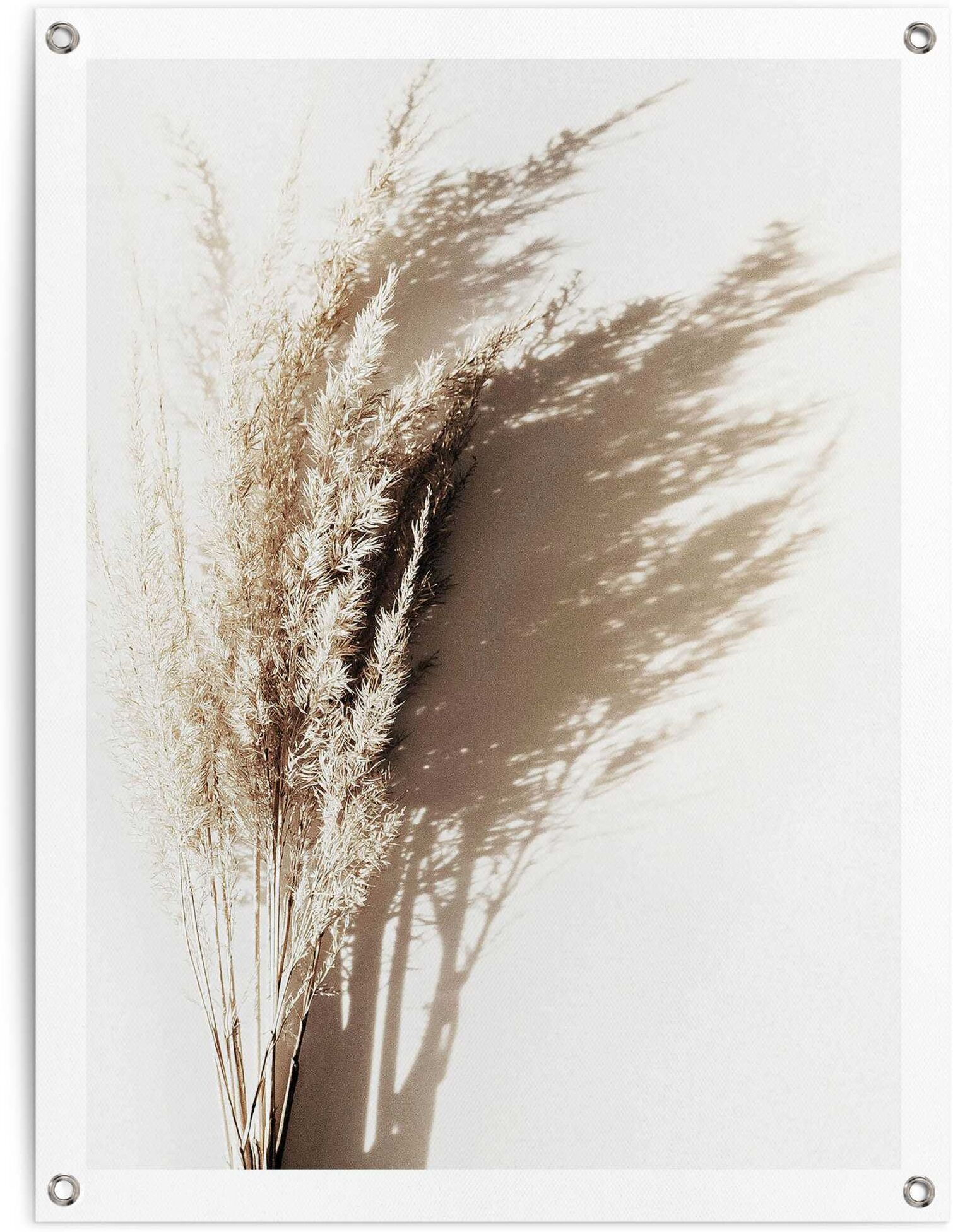 Reinders! Poster REINDERS "Sonniges Gras", beige (farbe bild(er): beige), B:60cm H:80cm T:0,1cm, Leinwand, Bilder, Poster, Outdoor für Garten oder Balkon farbe bild(er): beige B/H/T: 60cm x 80cm x 0,1cm