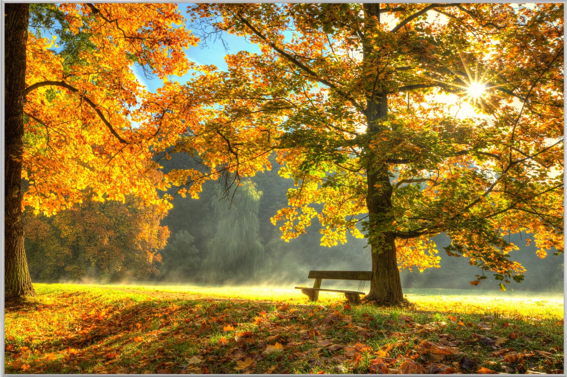 image LAND Sonnenaufgang im Herbstwald