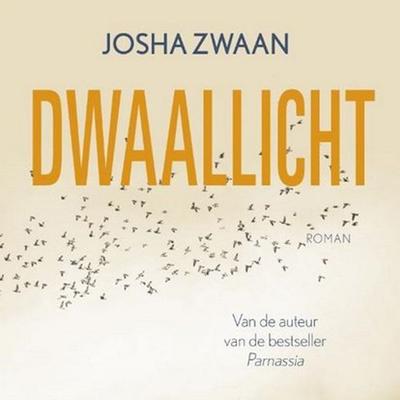 Dwaallicht - Josha Zwaan, Audio, 9789462533851