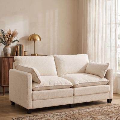 Abrihome "70.86"" Modern 2-Seater Sofa with Two Washable Pillows"
