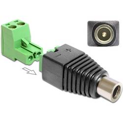 Delock 65423 DC (Strom) Adapter [1x DC-Buchse 5.5 mm - 1x 2-polig] Schwarz, Grün 0.005 m