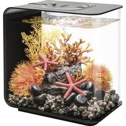 Oase 72029 biOrb FLOW 15 LED schwarz Aquarium EEK: G (A - G) 15 l mit LED-Beleuchtung
