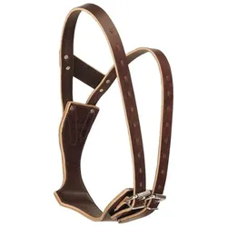 Weaver Leather Halsseil für Pferde in nylon + Karabinerhaken (L, Hund, Pferd, Allgemein, Spazieren), Halsband + Leine