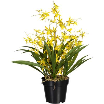 Kunstorchidee CREATIV GREEN "Oncidie Dancing Queen", gelb, H:60cm, Obermaterial: 50% Kunststoff, 50% Polyester, Kunstpflanzen