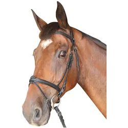 Privilège Equitation, Halfter
