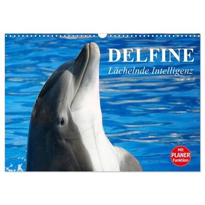 Delfine - Lächelnde Intelligenz (Wandkalender 2027 DIN A3 quer), CALVENDO Monatskalender