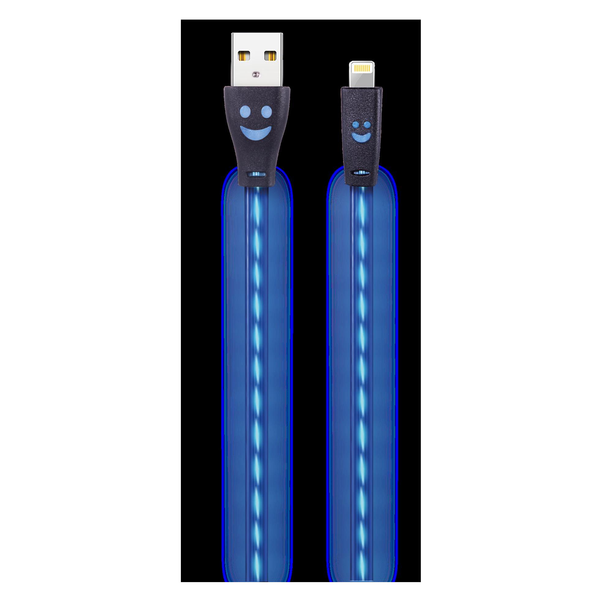 2GO 795536 USB Kabel USB B Lightning (1 m) (795536)
