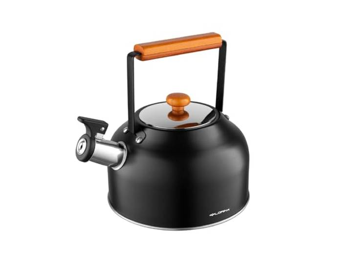 FLORINA Waterkoker (2,5 l) I Roestvrijstalen Theeketel TOKYO I Fluitketel met Houten Handvat I Japanse Stijl I Waterkoker voor Inductiekookplaat, Gaskookplaat, Elektrische Kookplaat I Zwart