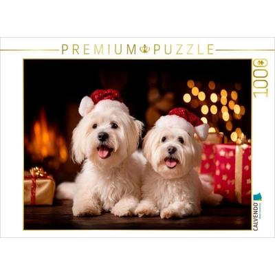 CALVENDO Puzzle Malteser - Festliche Herzensmomente | 1000 Teile Lege-Größe 64 × 48 cm Foto-Puzzle für glückliche Stunden, von , Calvendo Puzzle