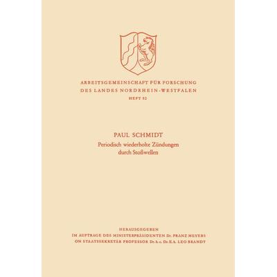 Periodisch Wiederholte Zündungen durch Stoßwellen, Taschenbuch von Paul Schmidt, VS Verlag für Sozialwissenschaften, 978-3-663-00902-3