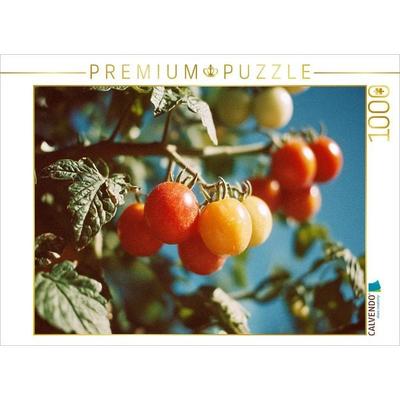 CALVENDO Puzzle Reife Tomaten am Strauch im Sonnenschein | 1000 Teile Lege-Größe 64x48cm Foto-Puzzle für glückliche Stunden