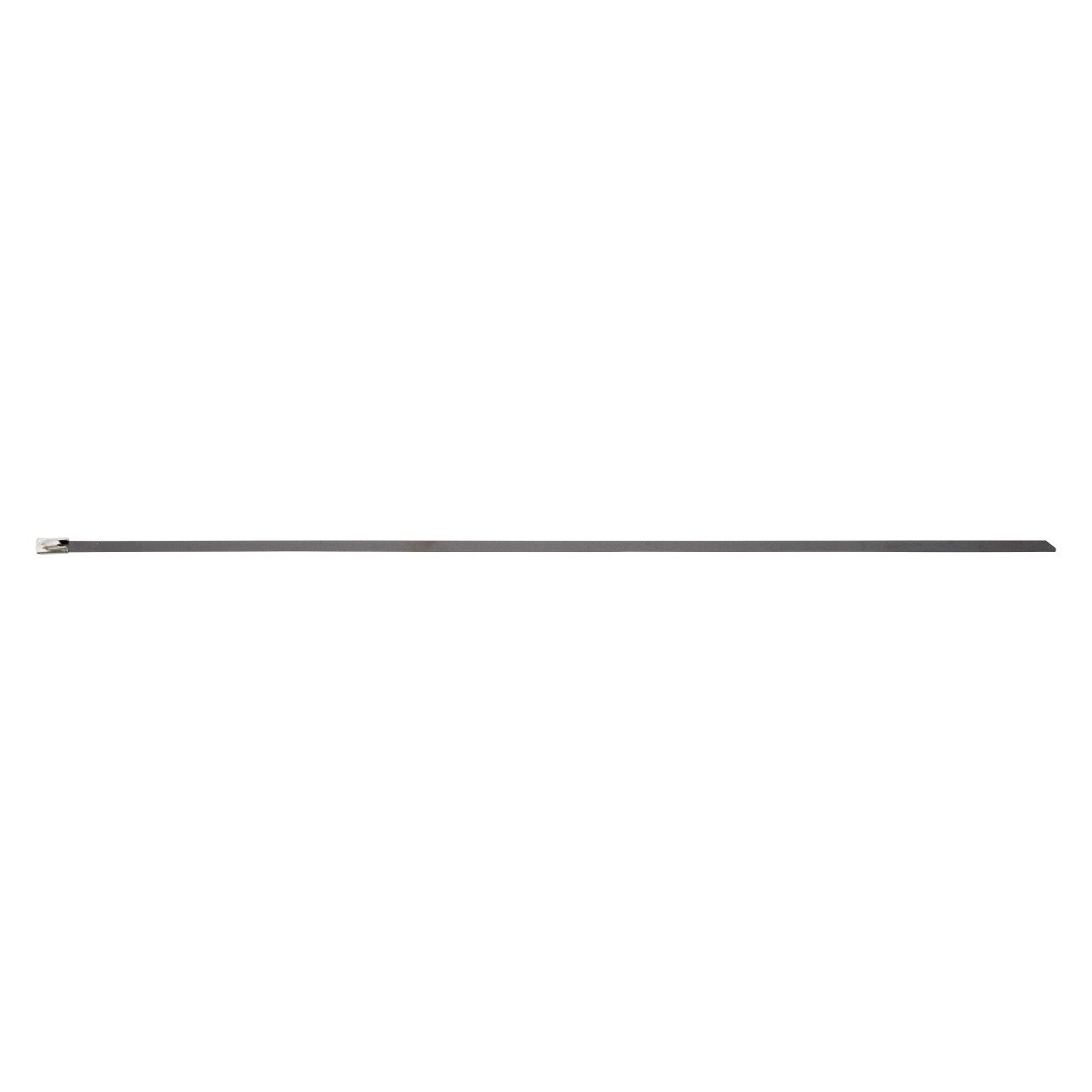 Brady Kabelbinder (370 mm, 100 Stk.) (SSTIEC-370-7316)