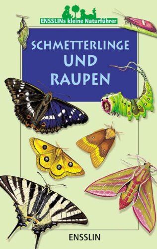 Léon Rogez - Schmetterlinge und Raupen - Preis vom 09.10.2026 07:28:09 h