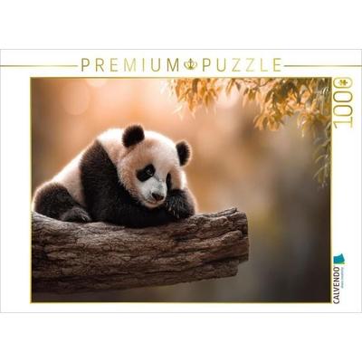 CALVENDO Puzzle Ob man hier wohl in Ruhe schlafen kann | 1000 Teile Lege-Größe 64x48cm Foto-Puzzle für glückliche Stunden, Sonstige von , Calvendo