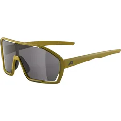 Alpina, Damen, Sportbrille, Bonfire (Braun, Grau), Grün