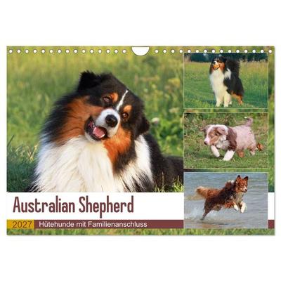 Australian Shepherd - Hütehunde mit Familienanschluss (Wandkalender 2027 DIN A4 quer), CALVENDO Monatskalender