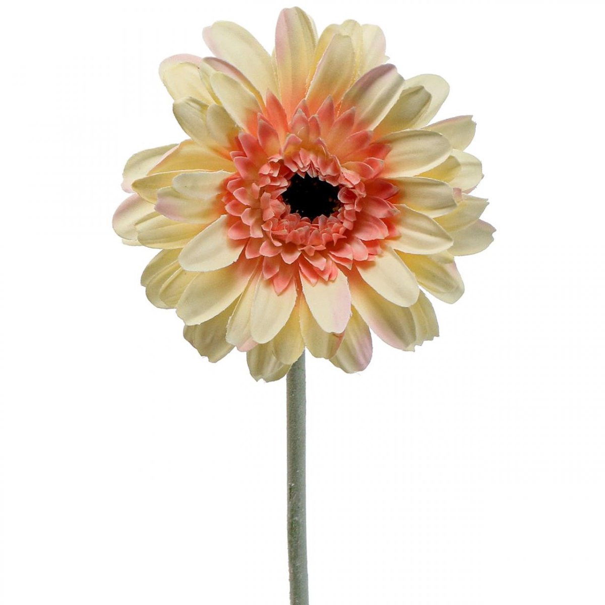 Kunstbloem Gerbera Abrikoos Ø11cm L50cm