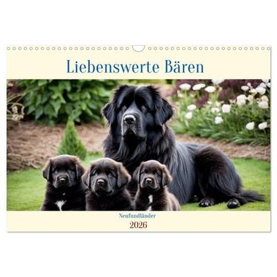 Neufundländer - Liebenswerte Bären (Wandkalender 2026 DIN A3 quer), CALVENDO Monatskalender