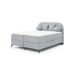 BOXBETT Gorgia