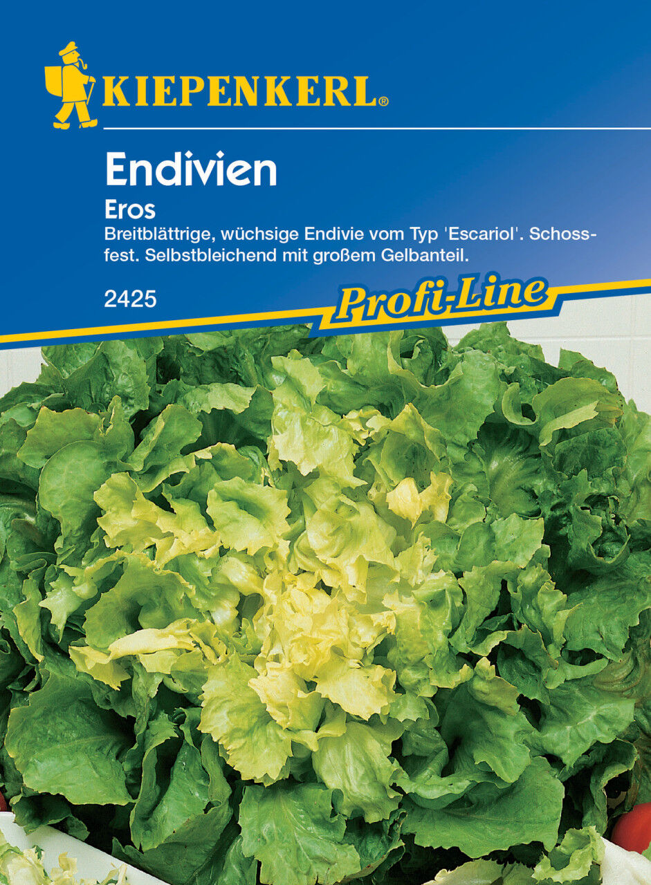 Kiepenkerl Endivie Eros