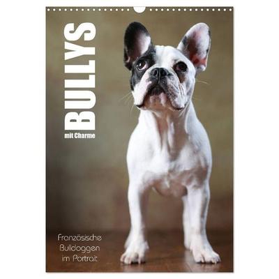Bullys mit Charme - Französische Bulldoggen im Portrait (Wandkalender 2026 DIN A3 hoch), CALVENDO Monatskalender