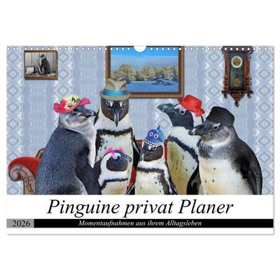 Pinguine privat Planer (Wandkalender 2026 DIN A3 quer), CALVENDO Monatskalender
