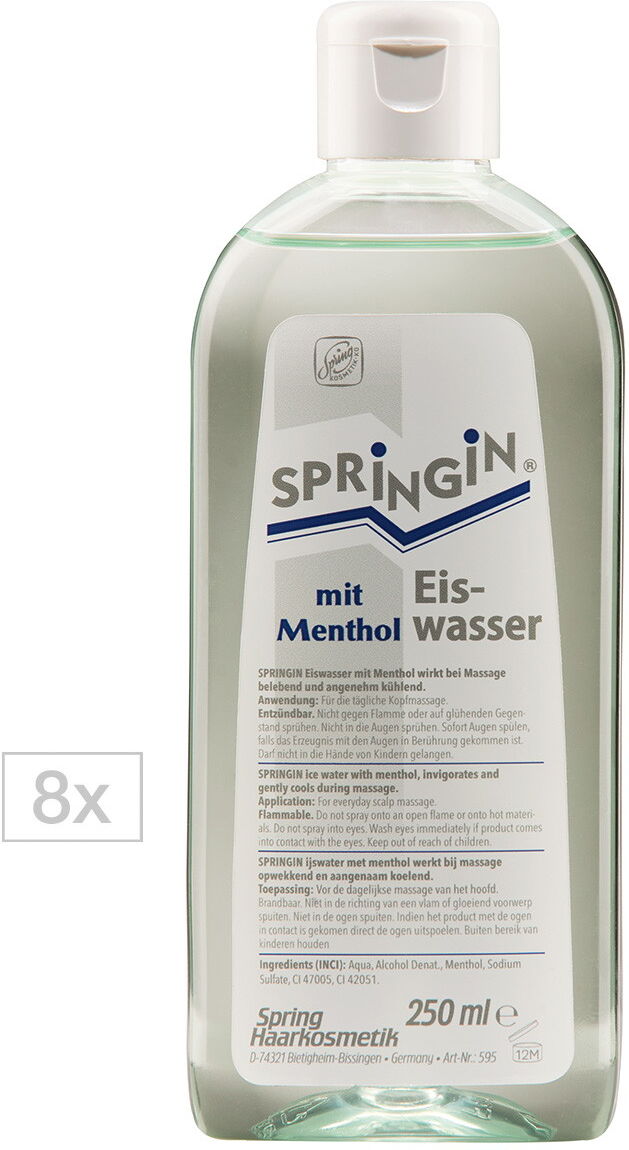 2L Spring Eiswasser mit Menthol