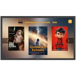 Philips 43BDL3751T Signage Touch Display 108 cm 42,5 Zoll