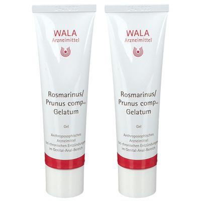 Rosmarinus/Prunus comp.Gel Doppelpack 2x30 g Salbe